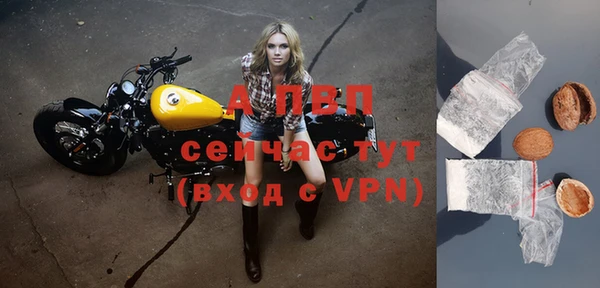 a pvp Абаза