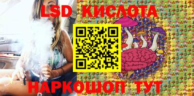 амф Камышлов