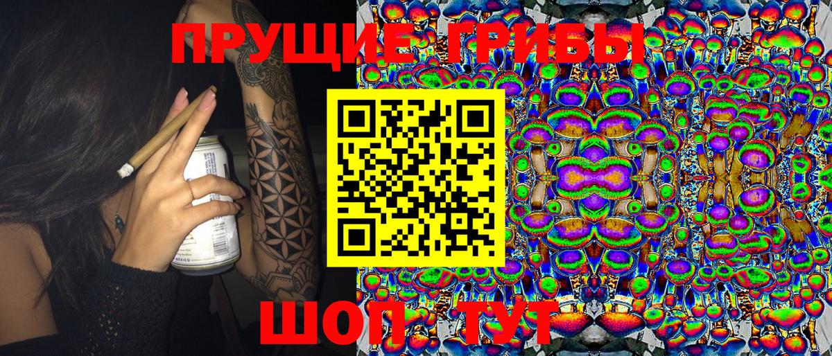 Великий Новгород  Галлюциногенные грибы Psilocybe  Вход с VPN 