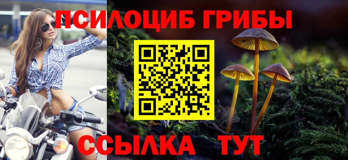 Галлюциногенные грибы Cubensis Великий Новгород